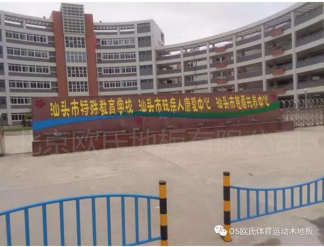 汕頭特殊教育學校籃球館木地板案例圖1
