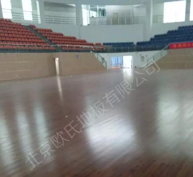 廣東省湛江市麻章區體育館楓木地板單層龍骨結構案例-1